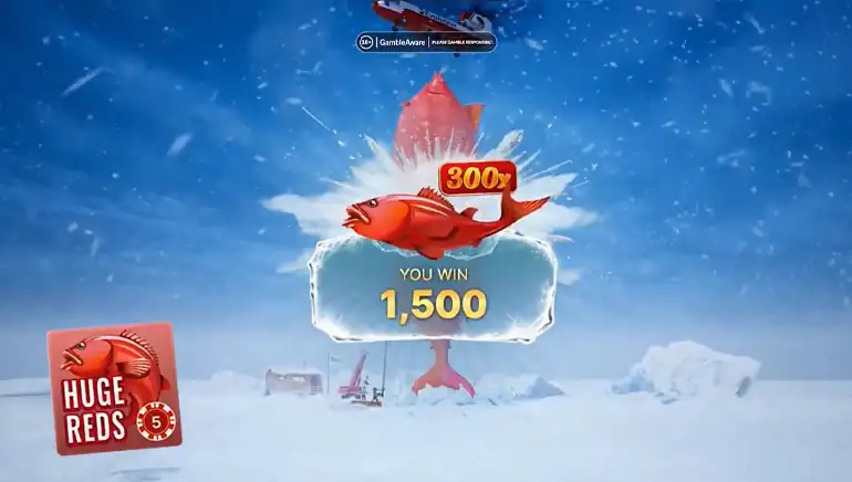 Smart Tips for New Players (Play Longer, Enjoy More)